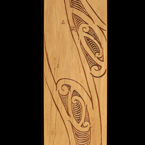 Ngā Manu Arataki – The Guiding Birds