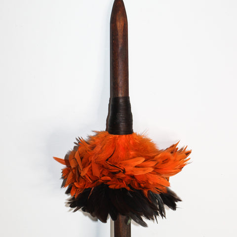Māori Renewal Koikoi Spear