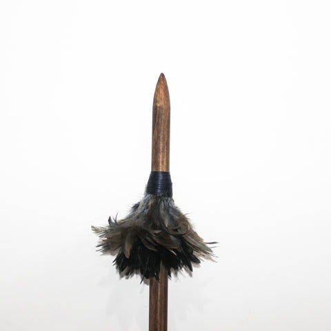 Kōkako - Pōtiki