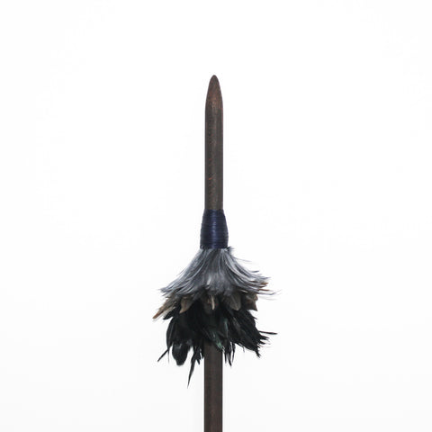 Kōkako - Rangatira