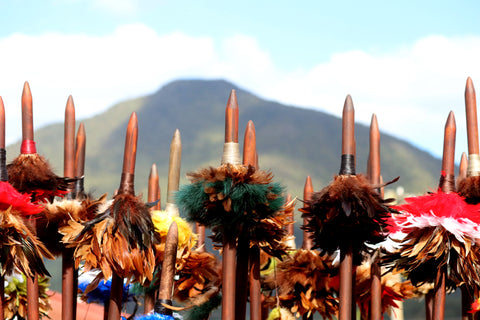 Unique Taonga